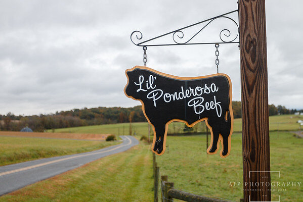 Sign for Lil' Ponderosa Beef hanging on a wooden post, with a scenic rural landscape and a winding road in the background, promoting local beef products.