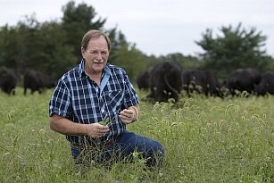 Man in a plaid shirt kneeling in a grassy field, examining plants while a herd of buffalo grazes in the background, showcasing sustainable farming practices.