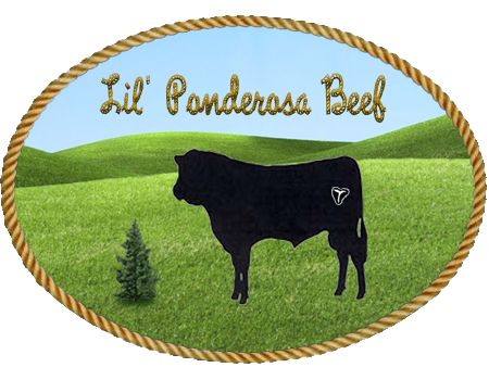Logo of Lil' Ponderosa Beef featuring a silhouette of a cow against a green landscape, framed by a rope border. The design emphasizes quality beef products sourced from a family-run farm.