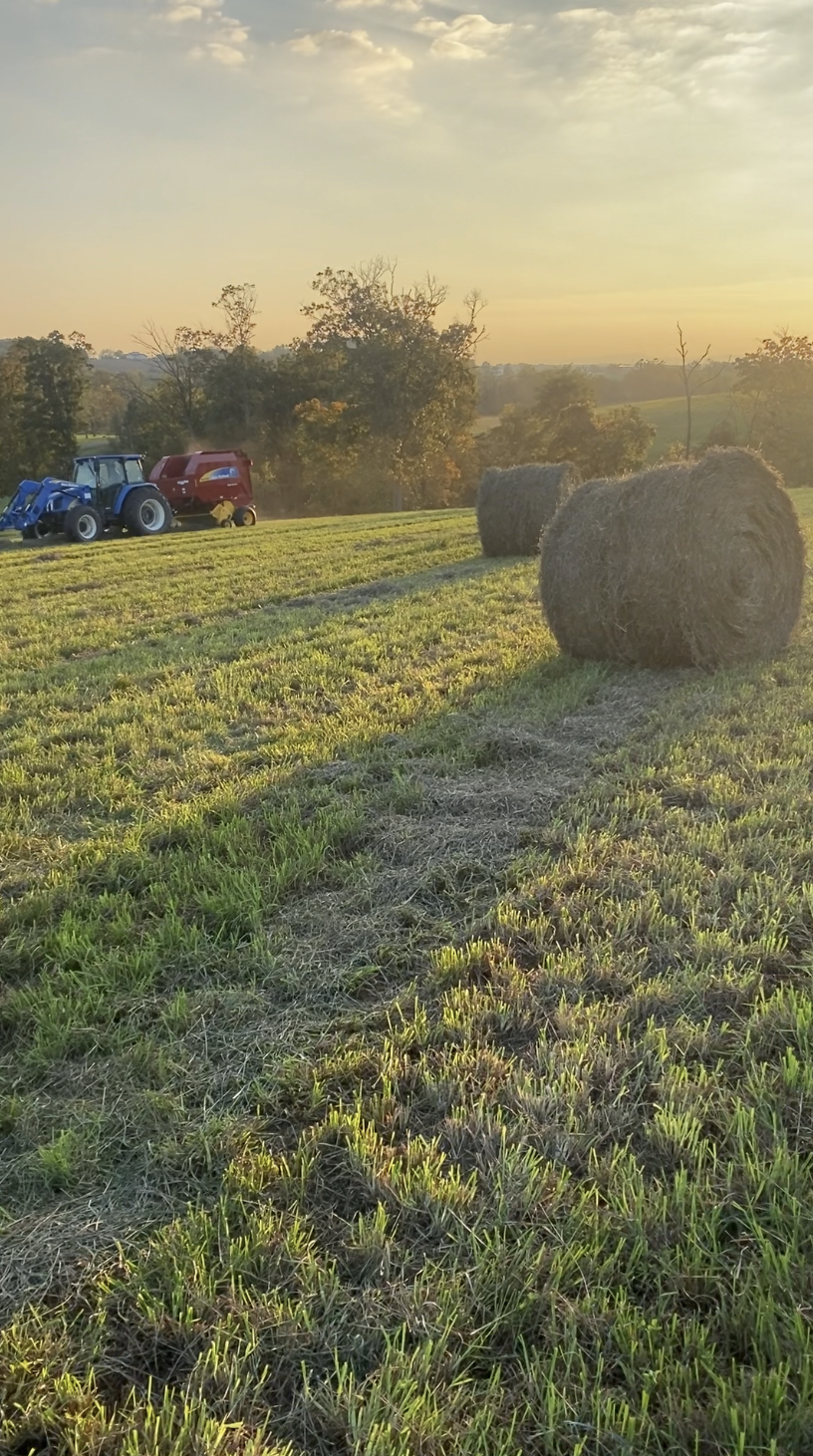 Tractor and hay baler on a farm field at sunset, with rolled hay bales in the foreground and lush green grass in the background.